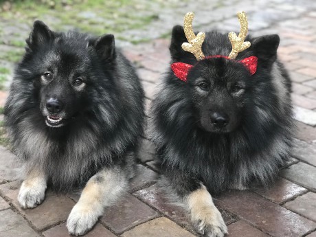 " Árčínek" 4 roky